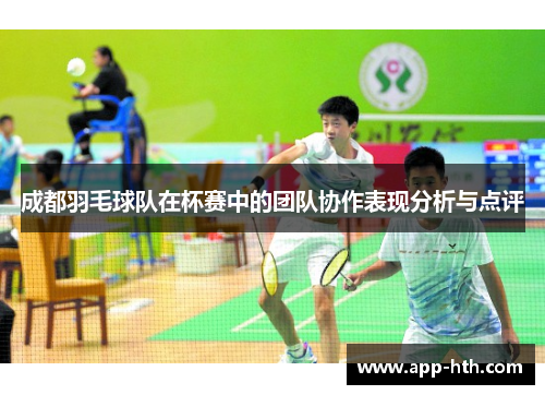 成都羽毛球队在杯赛中的团队协作表现分析与点评