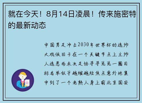 就在今天！8月14日凌晨！传来施密特的最新动态